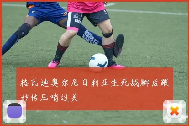 格瓦迪奥尔尼日利亚生死战脚后跟妙传压哨过关