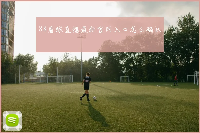 88看球直播最新官网入口怎么确认