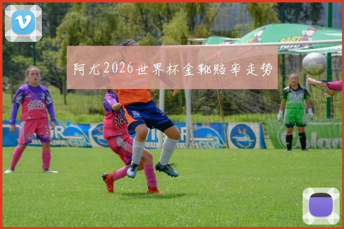 阿尤2026世界杯金靴赔率走势