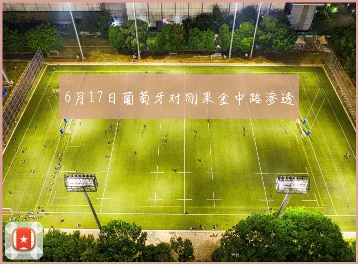 6月17日葡萄牙对刚果金中路渗透